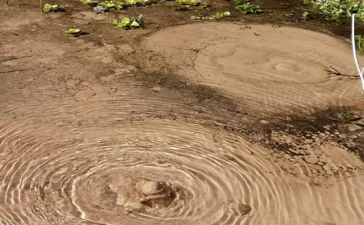 1_Svilės šaltiniai (2).jpg